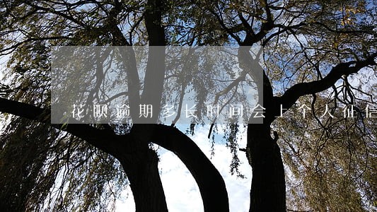 花呗逾期多长时间会上个人征信 花呗逾期多长时间会上个人征信