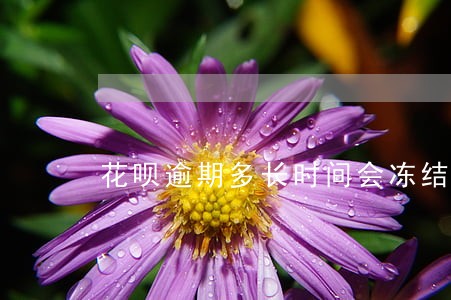 花呗逾期多长时间会冻结银行卡 花呗逾期多长时间会冻结银行卡