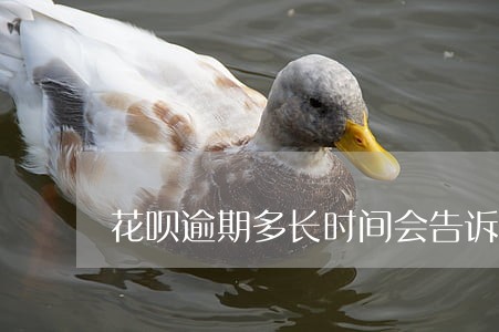 花呗逾期多长时间会告诉家人 花呗逾期多长时间会告诉家人