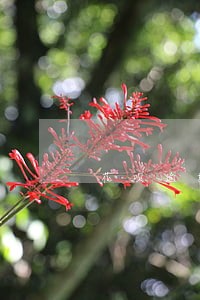 花呗逾期多长时间会禁用 花呗逾期多长时间会禁用