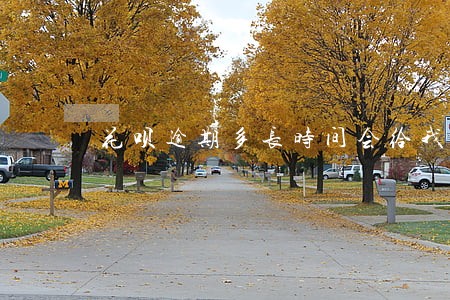 花呗逾期多长时间会给我打电话 花呗逾期多长时间会给我打电话