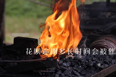 花呗逾期多长时间会被催收 花呗逾期多长时间会被催收