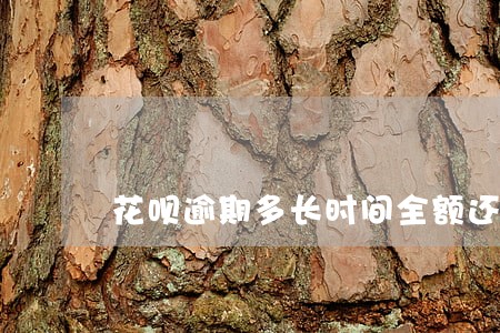 花呗逾期多长时间全额还 花呗逾期多长时间全额还