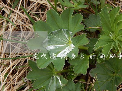 花呗逾期多长时间刷新 花呗逾期多长时间刷新