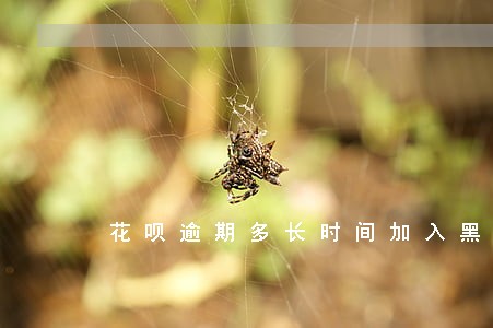 花呗逾期多长时间加入黑名单 花呗逾期多长时间加入黑名单