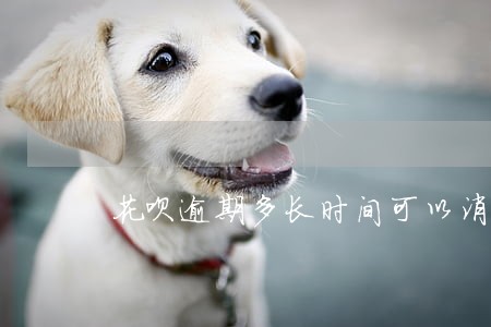 花呗逾期多长时间可以消除 花呗逾期多长时间可以消除