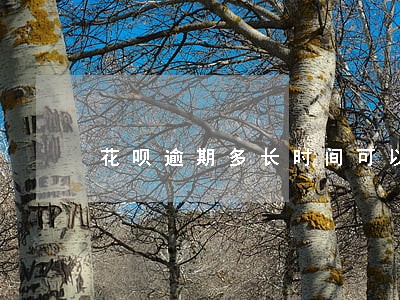 花呗逾期多长时间可以解除封闭 花呗逾期多长时间可以解除封闭