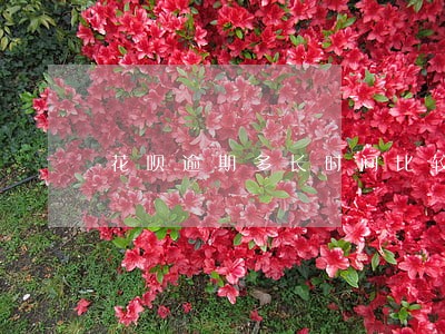 花呗逾期多长时间比较严重 花呗逾期多长时间比较严重