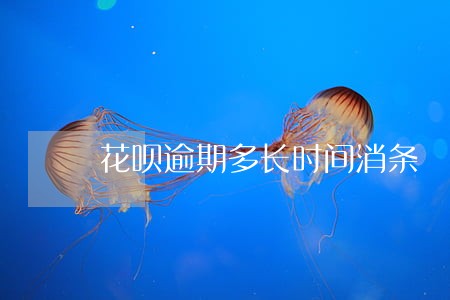 花呗逾期多长时间消条 花呗逾期多长时间消条