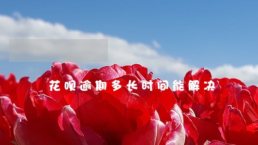 花呗逾期多长时间能解决