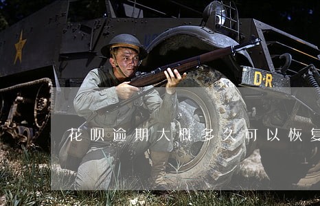 花呗逾期大概多久可以恢复