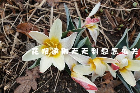 花呗逾期天天利息怎么关闭它 花呗逾期天天利息怎么关闭它