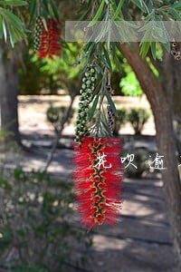花呗逾期太久冻结了怎么办 花呗逾期太久冻结了怎么办