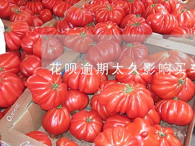 花呗逾期太久影响买车吗 花呗逾期太久影响买车吗