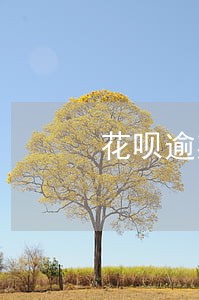 花呗逾期太久被冻结了怎么办 花呗逾期太久被冻结了怎么办