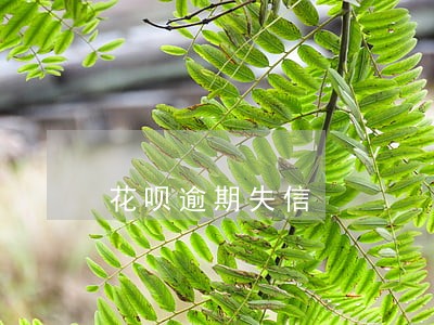 花呗逾期失信 花呗逾期失信