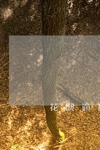 花呗逾期失信信息 花呗逾期失信信息