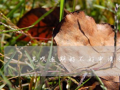 花呗逾期好不好申请分期 花呗逾期好不好申请分期