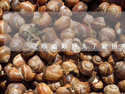 花呗逾期好久了能协商只还本金吗 花呗逾期好久了能协商只还本金吗