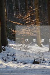 花呗逾期好久才打电话 花呗逾期好久才打电话