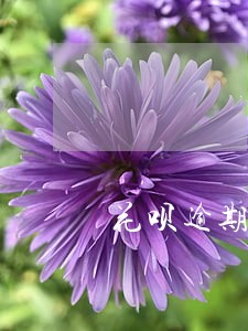 花呗逾期好会不会被告 花呗逾期好会不会被告