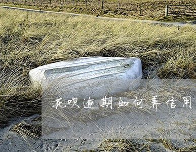 花呗逾期如何养信用 花呗逾期如何养信用