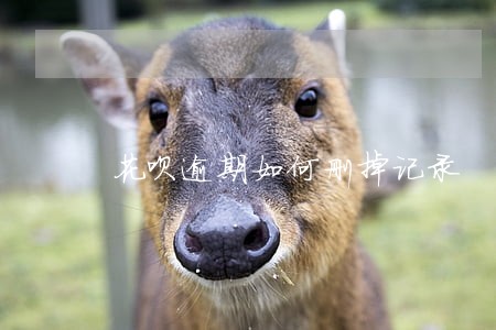 花呗逾期如何删掉记录 花呗逾期如何删掉记录