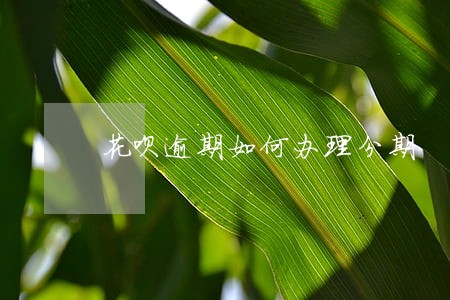 花呗逾期如何办理分期 花呗逾期如何办理分期