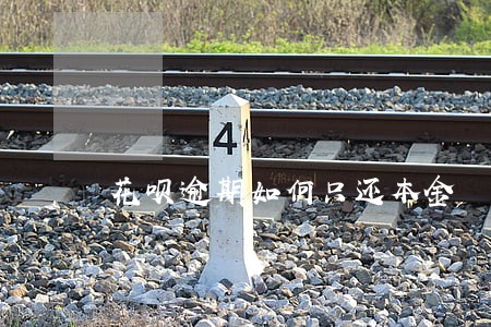 花呗逾期如何只还本金