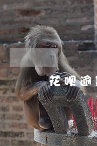 花呗逾期如何恢复芝麻分 花呗逾期如何恢复芝麻分
