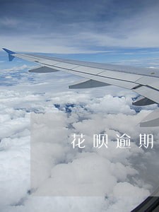 花呗逾期如何提高蚂蚁信用卡 花呗逾期如何提高蚂蚁信用卡