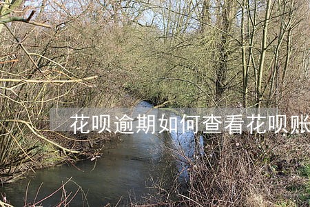 花呗逾期如何查看花呗账单 花呗逾期如何查看花呗账单