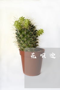 花呗逾期如何阻止催收上门 花呗逾期如何阻止催收上门