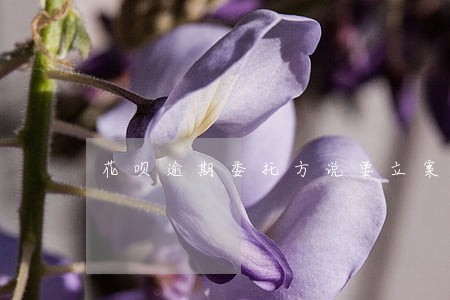 花呗逾期委托方说要立案 花呗逾期委托方说要立案