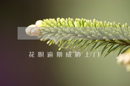 花呗逾期威胁上门 花呗逾期威胁上门