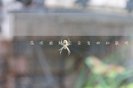 花呗逾期它会自动扣款吗
