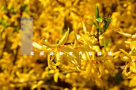 花呗逾期官方发短信 花呗逾期官方发短信