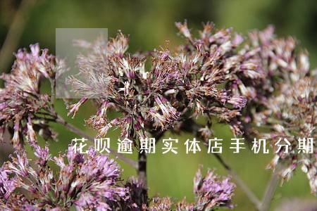 花呗逾期实体店手机分期好办吗 花呗逾期实体店手机分期好办吗