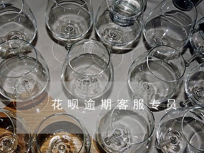 花呗逾期客服专员 花呗逾期客服专员