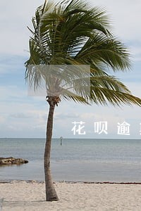 花呗逾期客服人员说下来调查 花呗逾期客服人员说下来调查