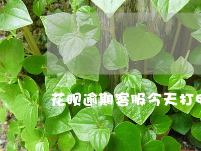 花呗逾期客服今天打电话 花呗逾期客服今天打电话