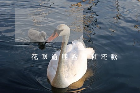 花呗逾期客服催还款 花呗逾期客服催还款