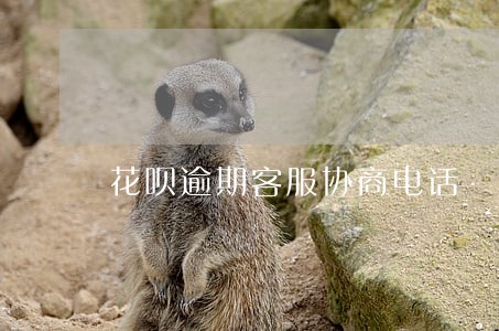 花呗逾期客服协商电话 花呗逾期客服协商电话