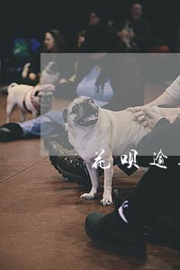 花呗逾期客服协商电话打来是多少 花呗逾期客服协商电话打来是多少