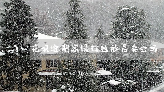花呗逾期客服打电话居委会吗