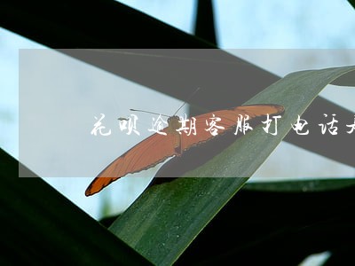 花呗逾期客服打电话是怎么说的 花呗逾期客服打电话是怎么说的