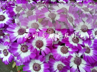 花呗逾期客服打电话来干嘛 花呗逾期客服打电话来干嘛