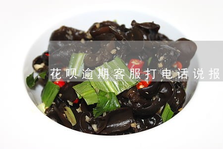 花呗逾期客服打电话说报警是真的 花呗逾期客服打电话说报警是真的