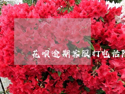 花呗逾期客服打电话限时还 花呗逾期客服打电话限时还