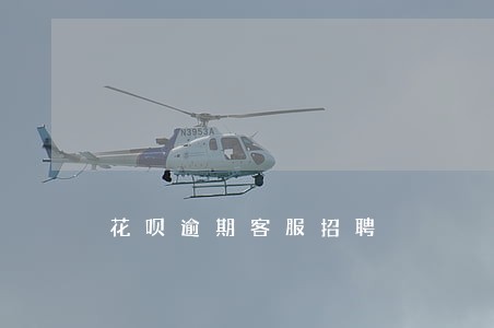 花呗逾期客服招聘 花呗逾期客服招聘